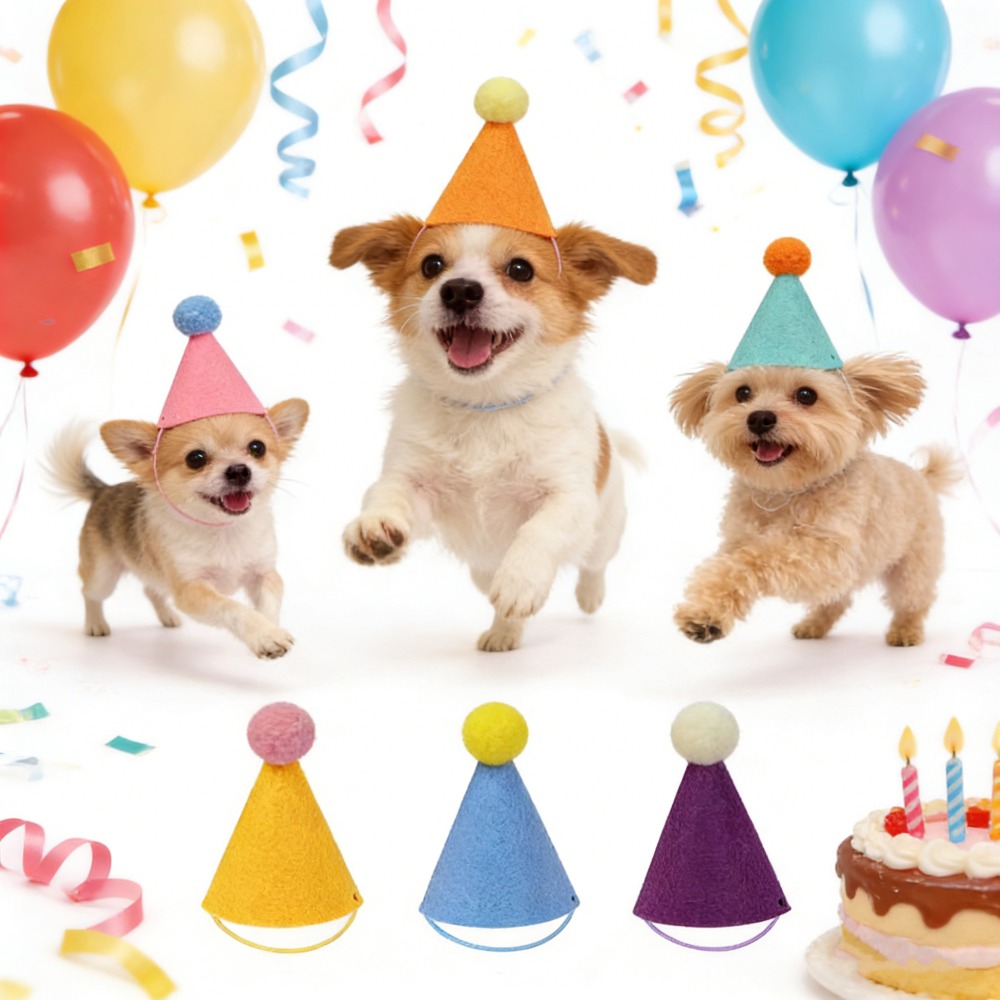3/6pcs Pet Party Hat Colorful  - Party Hat Cone avis et prix