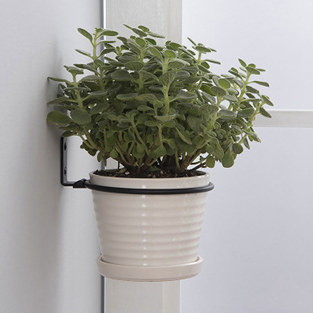 Flower Pot Trays Wall Mounted  - Flower Wall Panel avis et prix