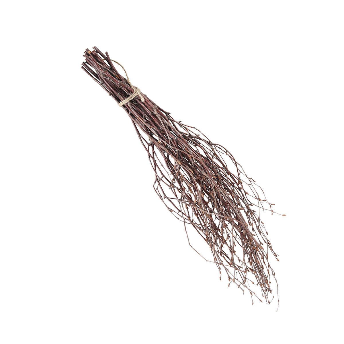 10Pcs 40Cm Birch Branches Real - Centerpiece Stick avis et prix