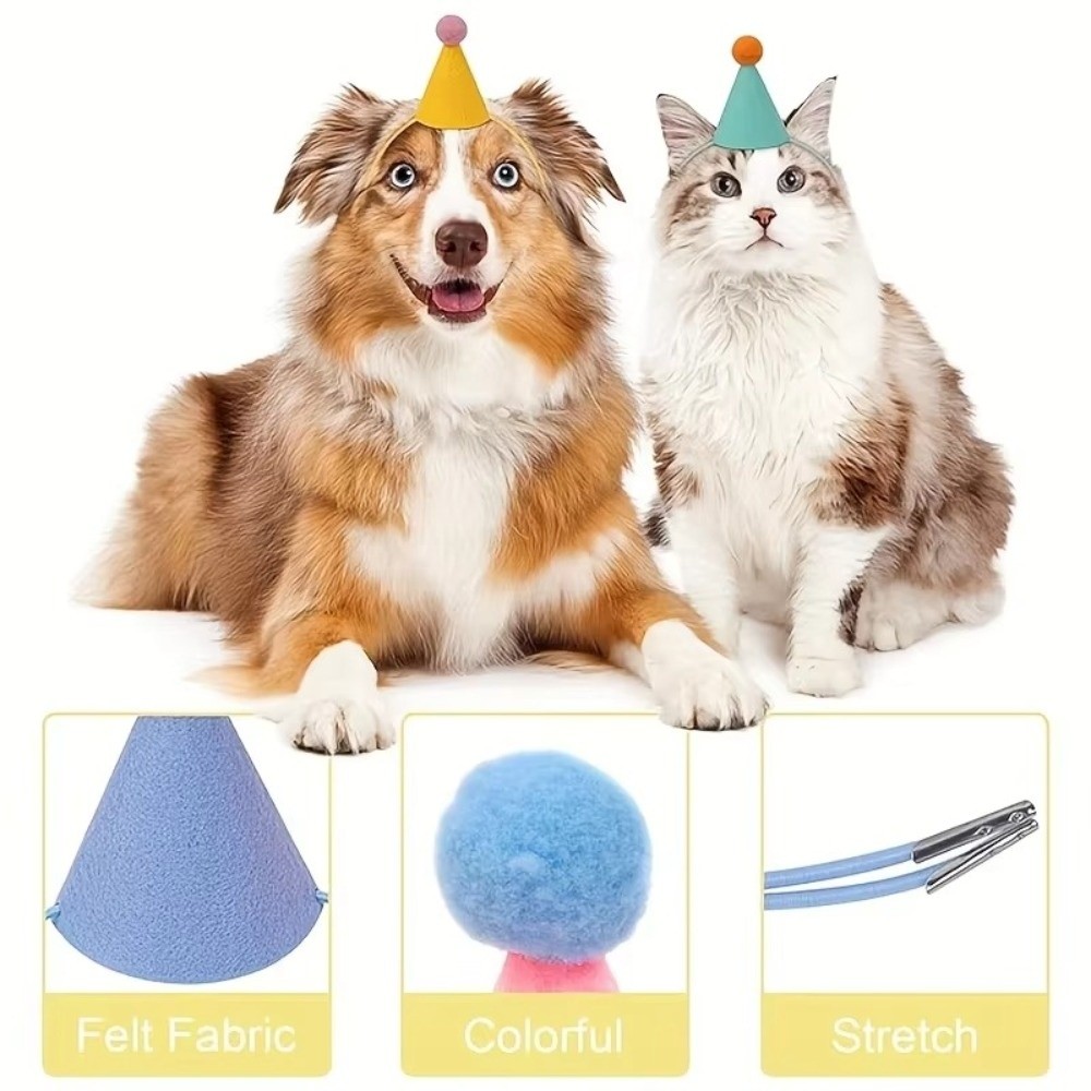 Reusable 6pcs Set Mini Party H - Party Hat Cone avis et prix